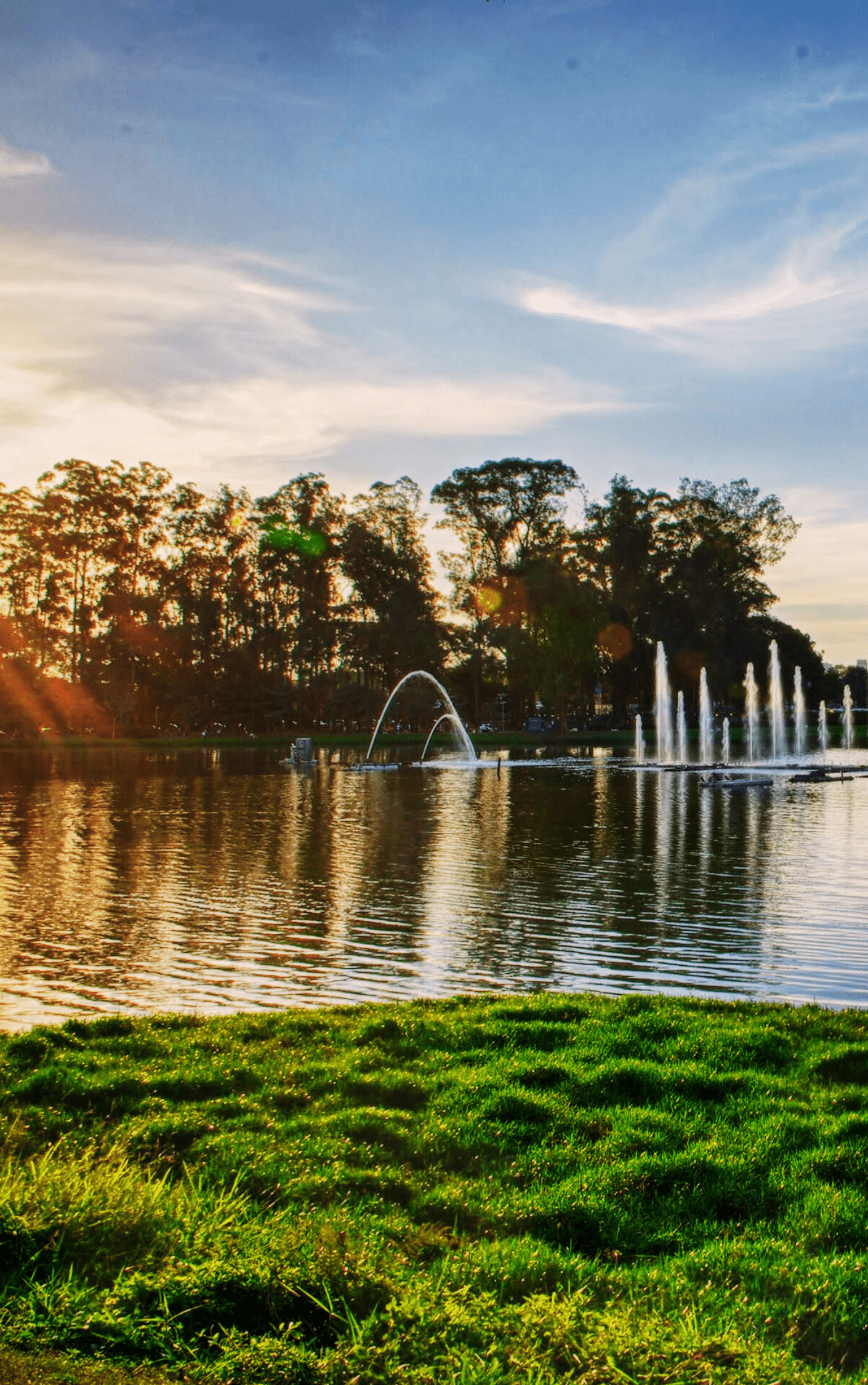 Parque Ibirapuera